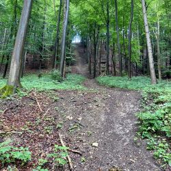 Spuren der Endurofahrer im Revier Westerwald