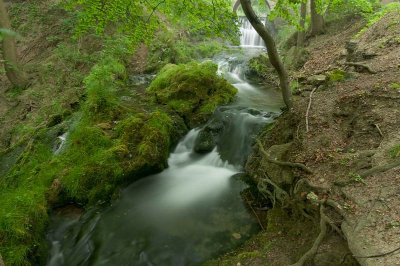 Lebensraum Kalksinterbach