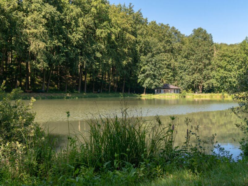 TOP-Wanderweg Warteberg