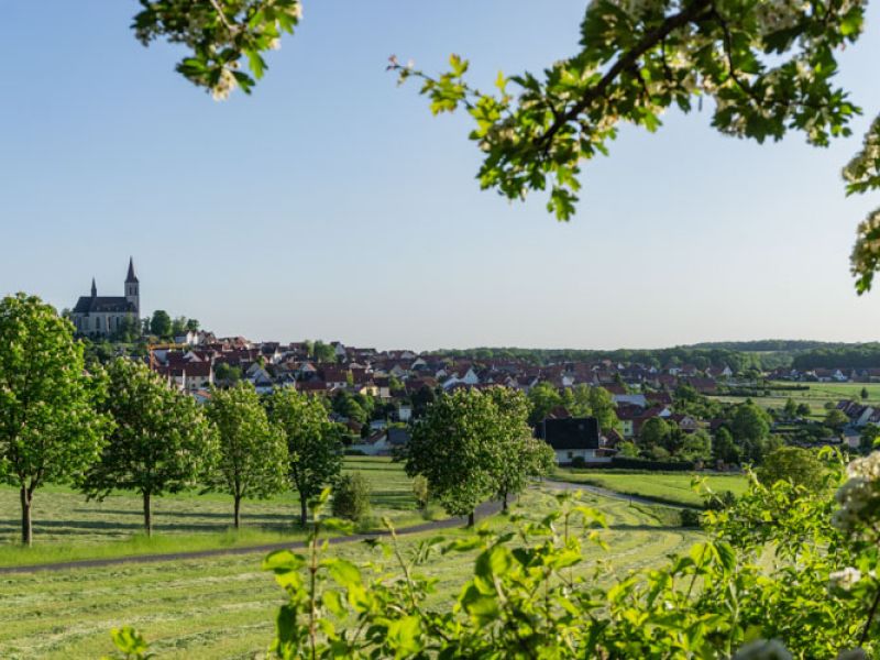 TOP-Wanderweg Effelder
