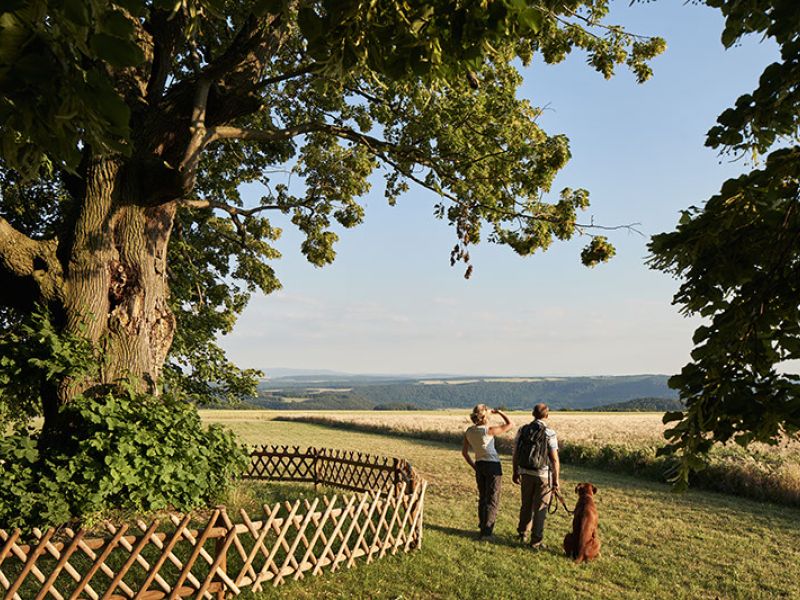 top-Wanderweg Normannstein bei Treffurt