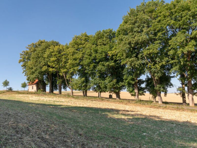 TOP-Wanderweg Warteberg