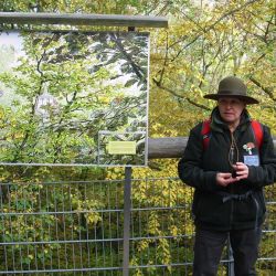Elisabeth Kätsch auf dem Baumkronenpfad