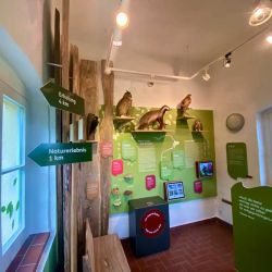 Feierlich wurde das Band durchschnitten. v.l.n.r.: Staatssekretär Burkhard Vogel, Friedel Heuwinkel (VDN), Ulrike Papenfuss (Atelier), Claudia Wilhelm (Naturpark), Dr. Henning (Landrat) und Uwe Müller (Naturpark)