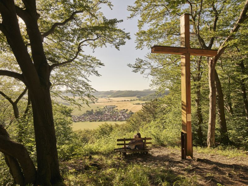Blick vom Martinfelder Fenster auf Martinfeld | Foto T. Sieland, bbsMEDIEN