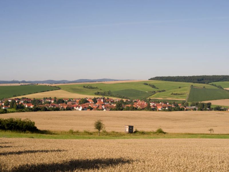Hainichlandweg - Blick auf Berka vor dem Hainich