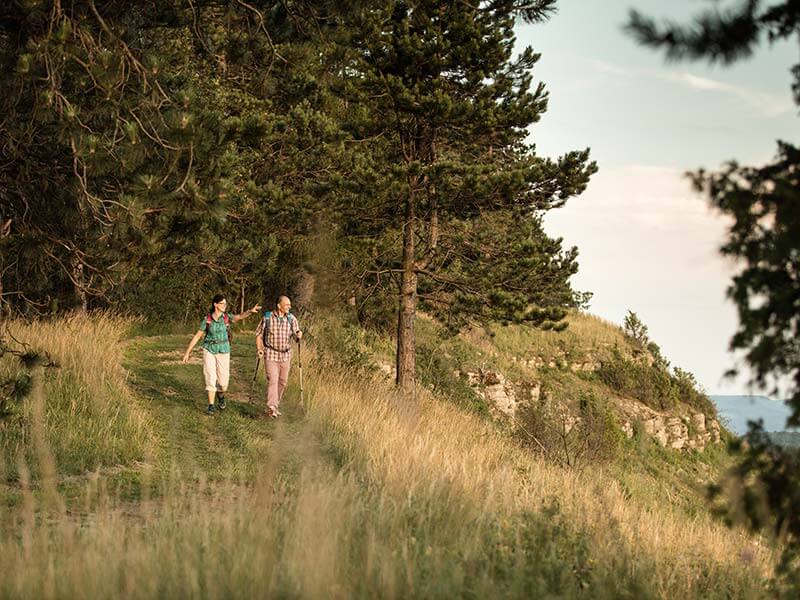 Naturparkweg Leine Werra - Dieteröder Klippen