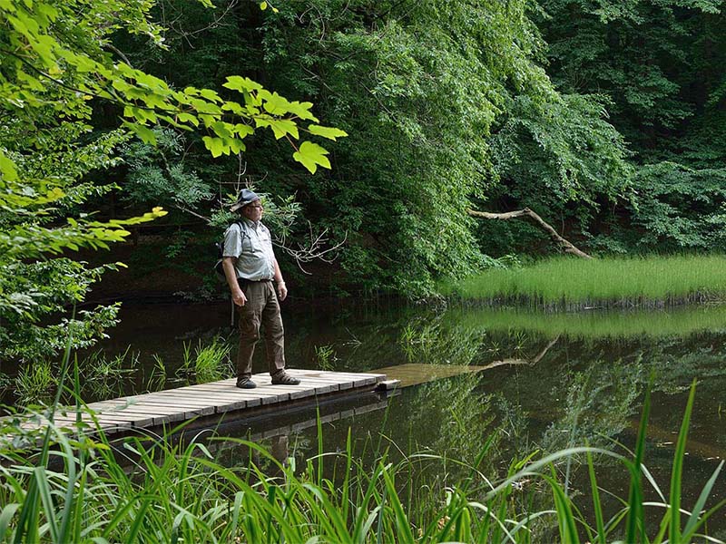 Hünenteich im Nationalpark Hainich