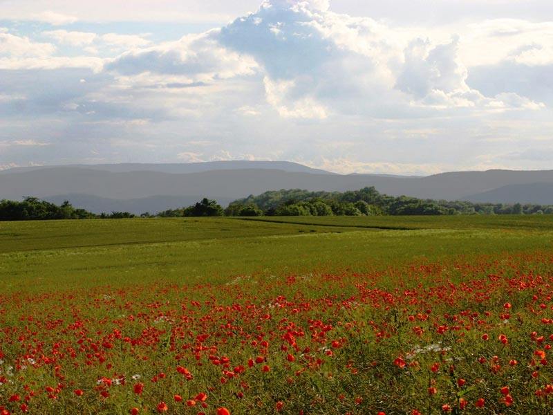 Naturparkweg Leine Werra