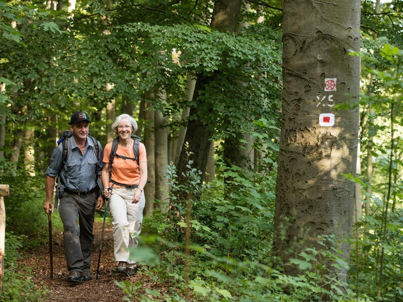 Naturparkweg Leine Werra - Blick auf Falken