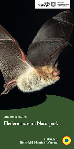 Fledermäuse im Naturpark