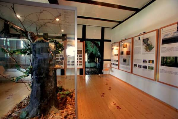 Nationalparkinformation Kammerforst