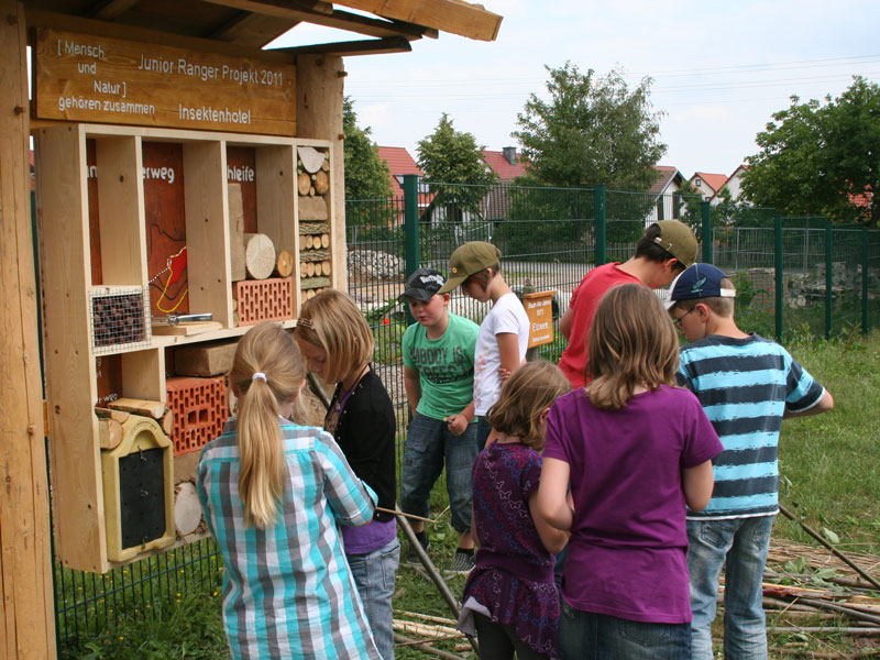 Die Grundschule Küllstedt ist eine Naturpark-Partnerschule